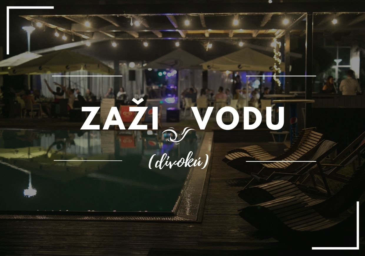 zazi vodu 2022 web 1